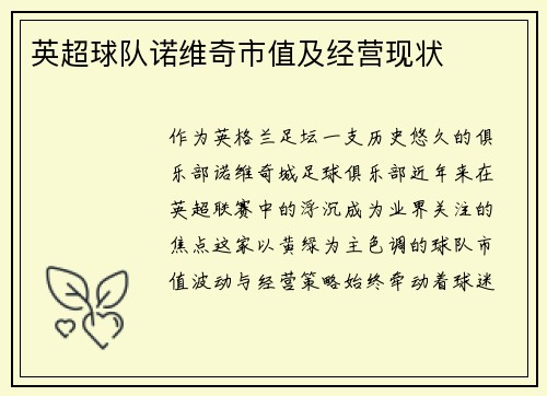 英超球队诺维奇市值及经营现状