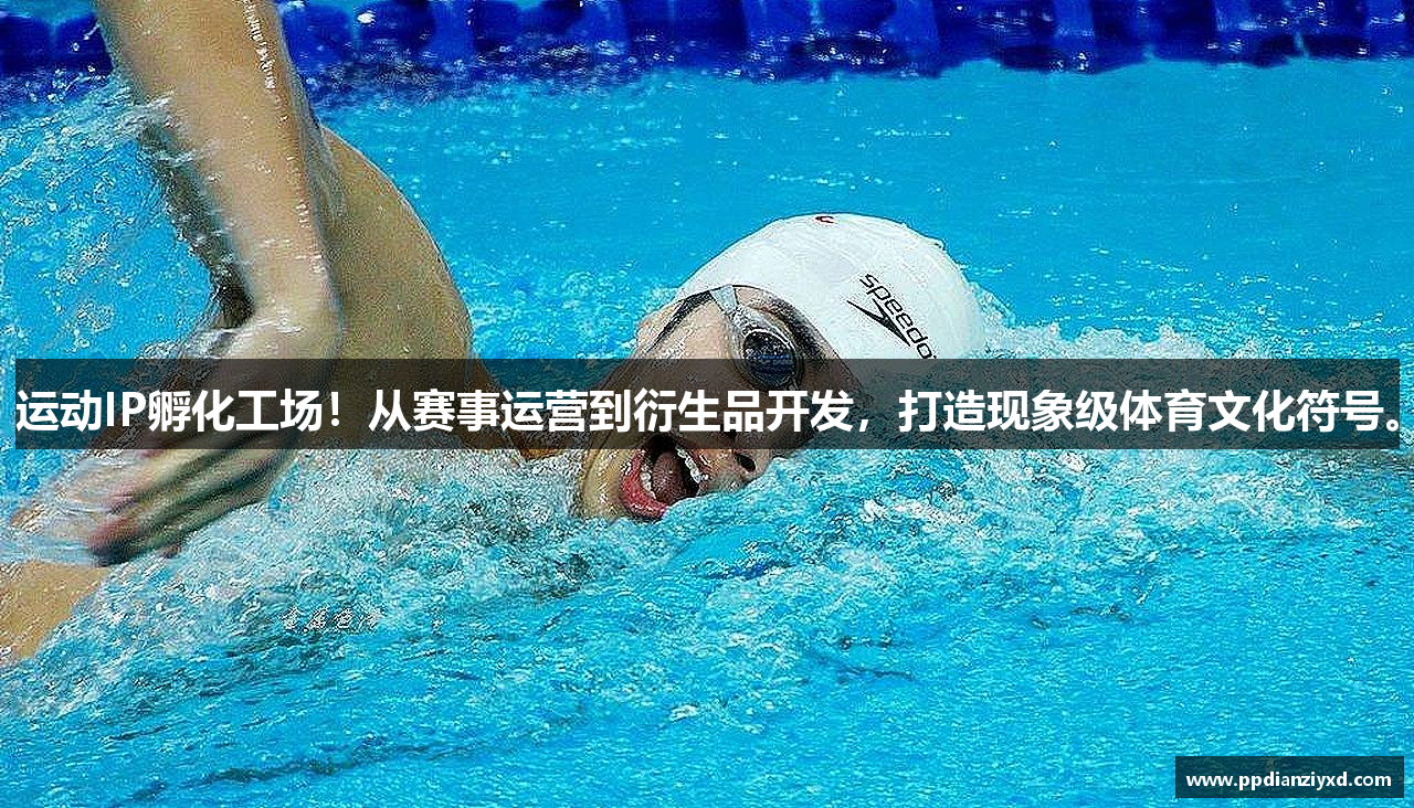 pp电子下载